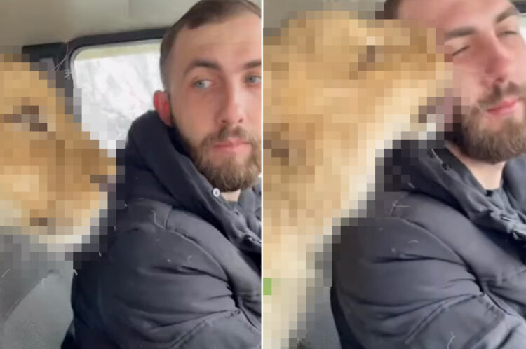 顔を寄せたりペロペロ舐めたりと、飼い主さんにすっかり懐いた姿を見せてくれたのは・・・、猫と思いきや『あの猛獣』でした！！