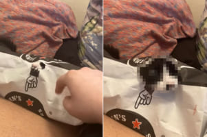 紙袋の中に入るのが大好きな子猫。小さな破れ穴を広げて、ぴょっこりキュートな顔をのぞかせてくれました！！