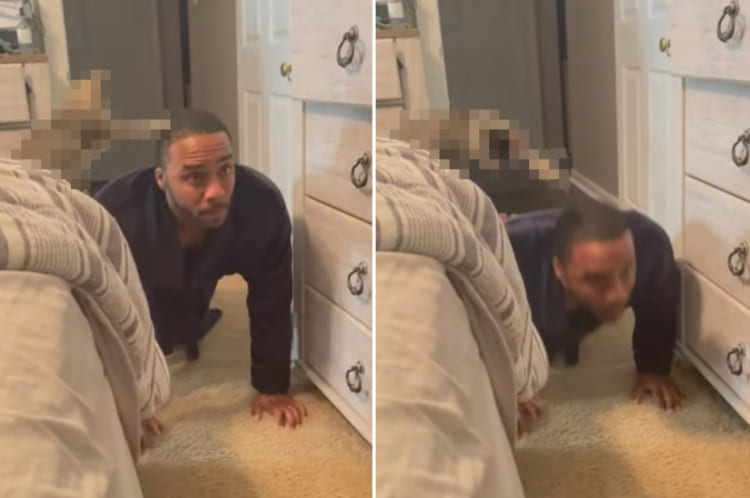 「もう一息ニャ！」腕立て伏せを行う男性。その隣で、愛猫がトレーナーとなってカウントしてくれています！