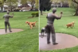 ボールを投げてくれそうな男性を見つけて、期待して待っている犬。でも、その人は絶対ボールを投げてくれないと思うよ・・・【アメリカ・動画】