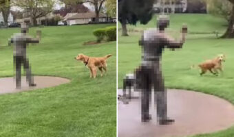 ボールを投げてくれそうな男性を見つけて、期待して待っている犬。でも、その人は絶対ボールを投げてくれないと思うよ・・・【アメリカ・動画】