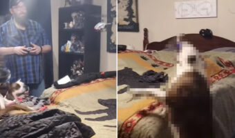 ヘリコプターのラジコンが気になる犬たち。一匹は息を荒くして遊びますが・・・、もう一匹はまさかの行動にでました！