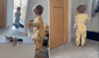 10日ぶりにいとこに会えた赤ちゃん。嬉しさのあまり『ハグの嵐』が巻き起こりました！その甘くて尊い光景にママたち感激！！