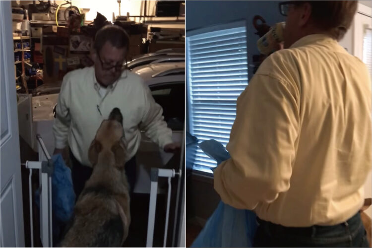 お留守番中にリビングで自由を満喫した犬たち。変わり果てたリビングの姿に、飼い主さんはもうビールでも飲まないとやってられなかったみたいです