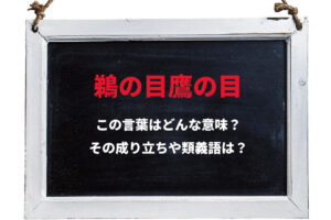 「鵜の目鷹の目」とはどんな意味？その成り立ちや類義語は？