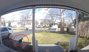 手すりにリードをつながれた犬はとてもパワフルでした！走り始めた瞬間、目を疑う『とんでもない事態』を引き起こしたのです！！