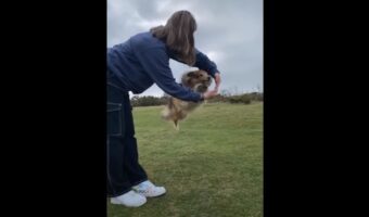 女性が両手で大きな輪を作ると・・・、シェットランド・シープドッグがその輪の中をくぐり抜ける、鮮やかなジャンプを披露しました!!