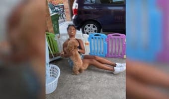 「会いたかったワン!」3ヶ月ぶりに飼い主さんと再会を果たした犬、喜びが大爆発!