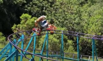 自宅の庭が遊園地になっちゃった？！？！？！DIYで作ったジェットコースターのクオリティがすごすぎる！