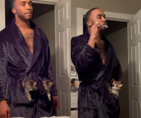 保護猫を一時的に預かるつもりだった夫、結局バスローブのポケットに入れて移動するほどの溺愛