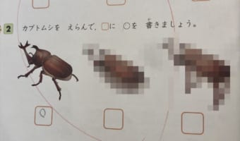 勉強しながらなぜか爆笑している息子。何ごとかと思ってのぞき込んだら・・笑いを耐えられない問題が!!