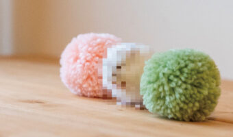 三色団子かと思ってよく見たら・・・。白いお団子になりきっていたのは、ふわふわした毛並みの『あの動物』でした！その姿に9万件以上のいいねが！！