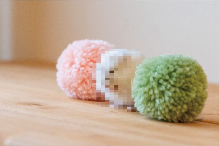 三色団子かと思ってよく見たら・・・。白いお団子になりきっていたのは、ふわふわした毛並みの『あの動物』でした！その姿に9万件以上のいいねが！！