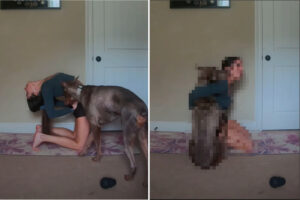 ママさんがヨガ中だって甘えたい！！ギュッとされたかったのか、腰に手を当てて体を反らしているところに愛犬が頭を突っ込んできました！！