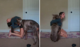 ママさんがヨガ中だって甘えたい！！ギュッとされたかったのか、腰に手を当てて体を反らしているところに愛犬が頭を突っ込んできました！！