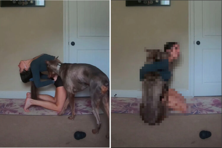 ママさんがヨガ中だって甘えたい！！ギュッとされたかったのか、腰に手を当てて体を反らしているところに愛犬が頭を突っ込んできました！！