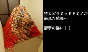 【崩れると完成するドミノ!?】ドミノが崩れて現れたのは....「壊すと完成するピラミッドドミノ」の新作が凄い!