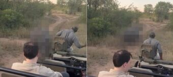 サファリツアー中の観光客を乗せた車の前に現れたのは、巨体を誇る『あの動物』！大きな音にその場を去ったその動物とは？！【海外・動画】