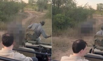 サファリツアー中の観光客を乗せた車の前に現れたのは、巨体を誇る『あの動物』!大きな音にその場を去ったその動物とは?!【海外・動画】