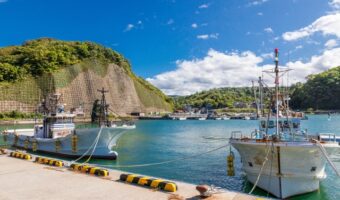 アジングデイゲーム攻略！！知っておきたい豆知識！！