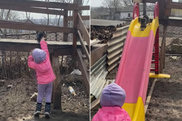 女の子に手伝ってもらい、滑り台を楽しむ子犬。滑り終えてはしゃいでいるその姿は「もう一回！」とせがんでるみたいです！！【海外・動画】