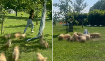 子犬たちに追いかけ回されたり、覆いかぶさられたり。「かわいい」の大渋滞を楽しむ女性。その光景が羨ましくて仕方ありません！【海外・動画】