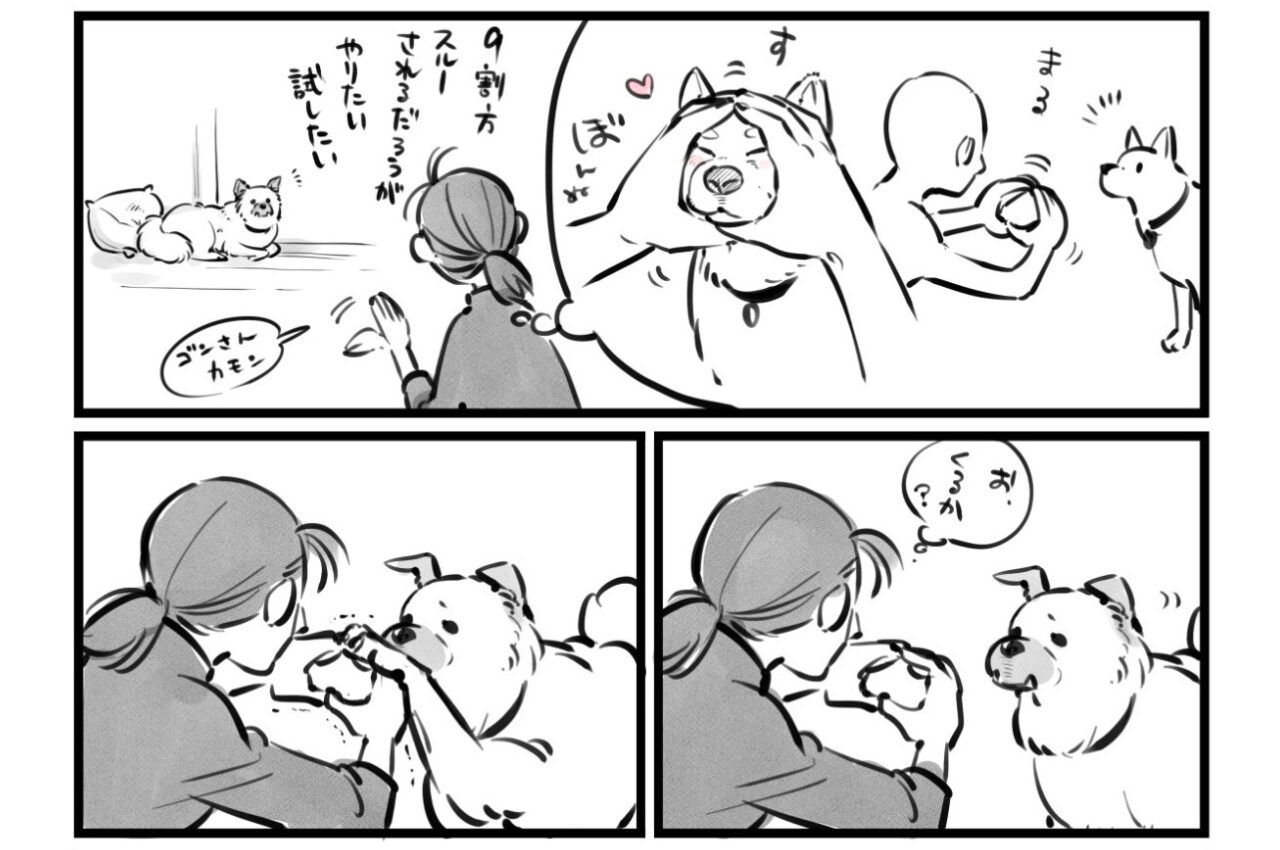 愛犬の前に手で輪っかを作ったら・・・。飼い主の思惑とは違う動きを見せたが、それはそれで愛おしい！