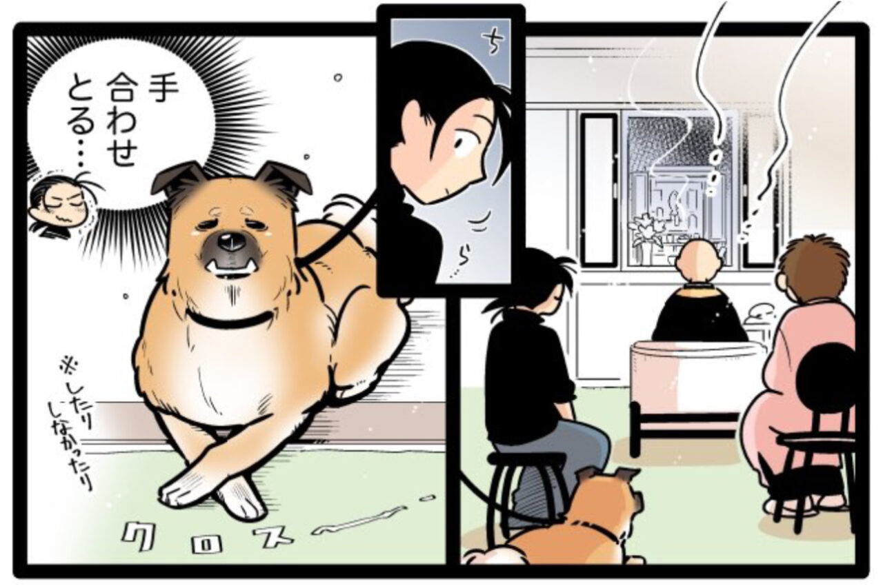 お経のヒーリング効果は絶大？読経中にきまって爆睡する雑種犬ゴンさんの漫画に癒される！【Twitter・漫画】