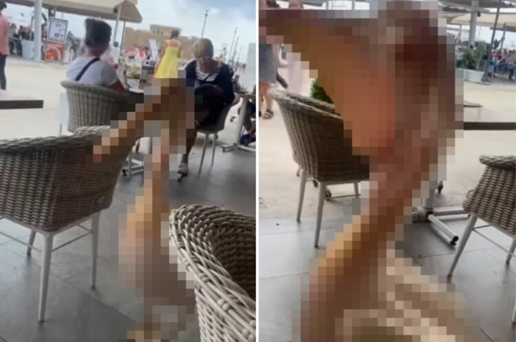 周りの視線が釘付けに！常連客のようにスタスタとレストランに入店してきたのは・・・、なんと『あの鳥』でした！【海外・動画】