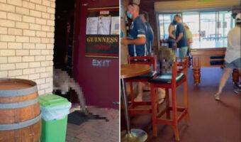 このパブの常連客は、オーストラリアを代表する『あの動物』？！仰天の光景かと思いきや、よくあることらしく誰も驚いていません【海外・動画】