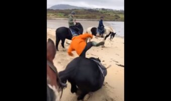 人が乗っていてもおかまいなし!?砂浜を進む馬が大好きな『あること』をしたくて、背中に乗る人を振り落とすような行動に出ました【海外・動画】