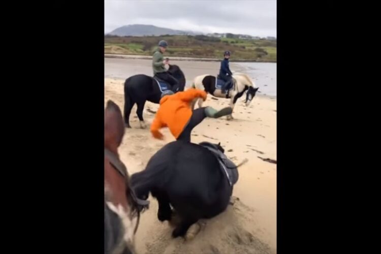 人が乗っていてもおかまいなし！？砂浜を進む馬が大好きな『あること』をしたくて、背中に乗る人を振り落とすような行動に出ました【海外・動画】