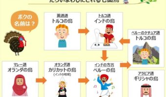 七面鳥はトルコでは「インドの鳥」、インドでは「ペルーの鳥」!?たらいまわしにされていることをまとめた相関図が話題に!