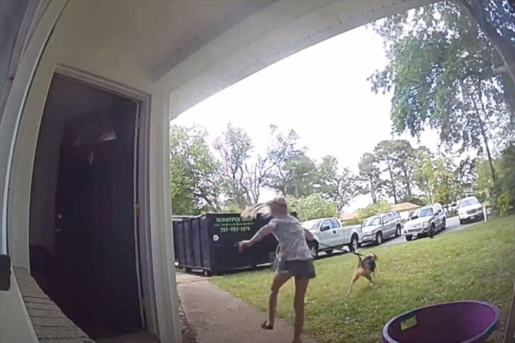 愛犬が突然ダッシュし始めた！しかし、リードを持つ女の子は転倒し引きずられても、決してその手をはなしませんでした【アメリア・動画】