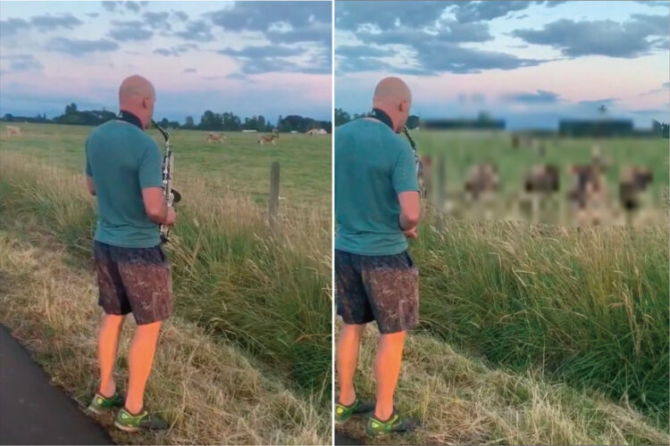 男性がサックスの演奏を屋外で始めると・・・、数分後には目の前に驚きの光景が広がりました！【海外・動画】