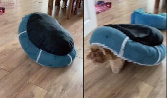 自宅のリビングに回転する円盤があらわれた!!グルグル回るこの円盤の正体は一体・・・?!【海外・動画】