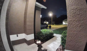 【危機一髪】愛犬の散歩中に熊が!間一髪自宅に逃げ込む緊迫の映像に息を飲む【アメリカ・動画】
