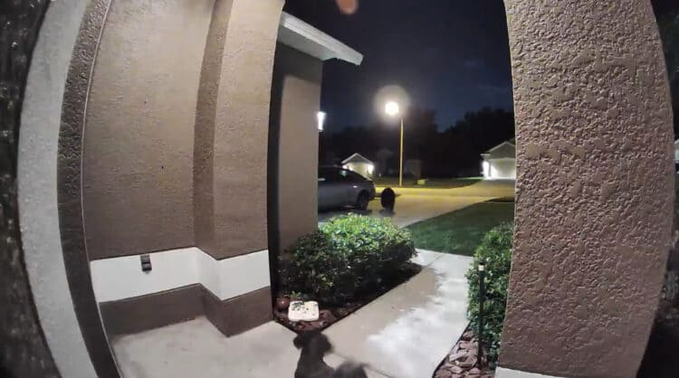 【危機一髪】愛犬の散歩中に熊が！間一髪自宅に逃げ込む緊迫の映像に息を飲む【アメリカ・動画】