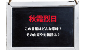 「秋霜烈日」それは天候に関わる言葉・・ではない!その意味や由来、類義語は?