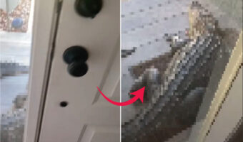玄関からする物音。配達でも来たのかと思って向かったら・・・、なんとドアの前にはトンデモナイ来客の姿が！【アメリカ・動画】