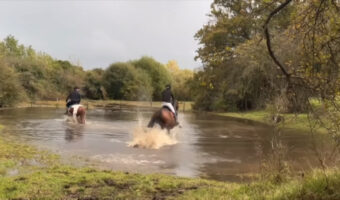 初めて水に入った馬。驚いたのか興奮したのか、慣れぬ場所を跳ねるように進んでいった結果、騎手がトンデモナイ目に！！【アメリカ・動画】