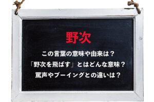 「野次を飛ばす」の野次とは何をあらわす言葉？意味や由来をご紹介！