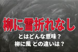 「柳に雪折れなし」とはどんな意味？「柳に風」との違いは？