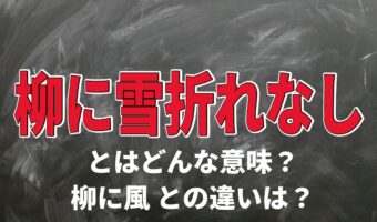 「柳に雪折れなし」とはどんな意味?「柳に風」との違いは?