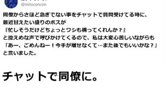 同僚から仕事の相談中に愛猫がやって来た...猫「忙しそうだけどちょっとワシも構ってくれんか？」その時の飼い主の選択が好判断だと話題に！！