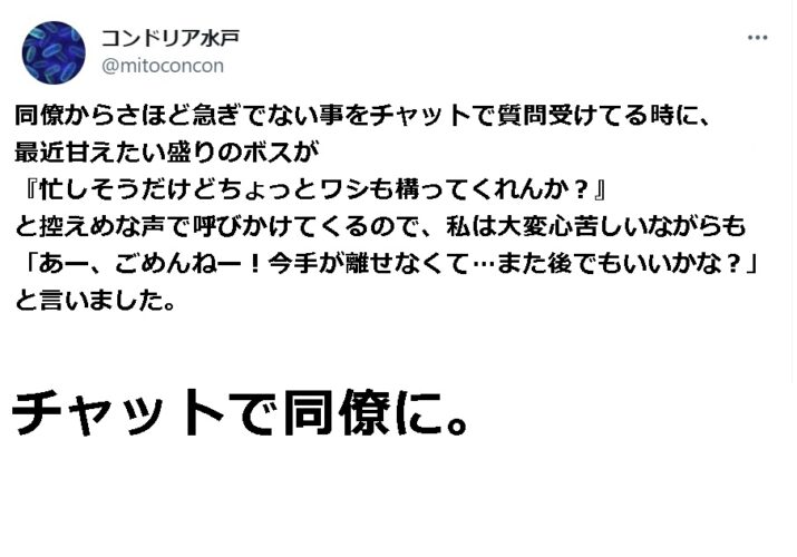 同僚から仕事の相談中に愛猫がやって来た...猫「忙しそうだけどちょっとワシも構ってくれんか？」その時の飼い主の選択が好判断だと話題に！！