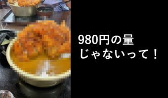 980円の量じゃない！コスパ最強メニューに騙された....