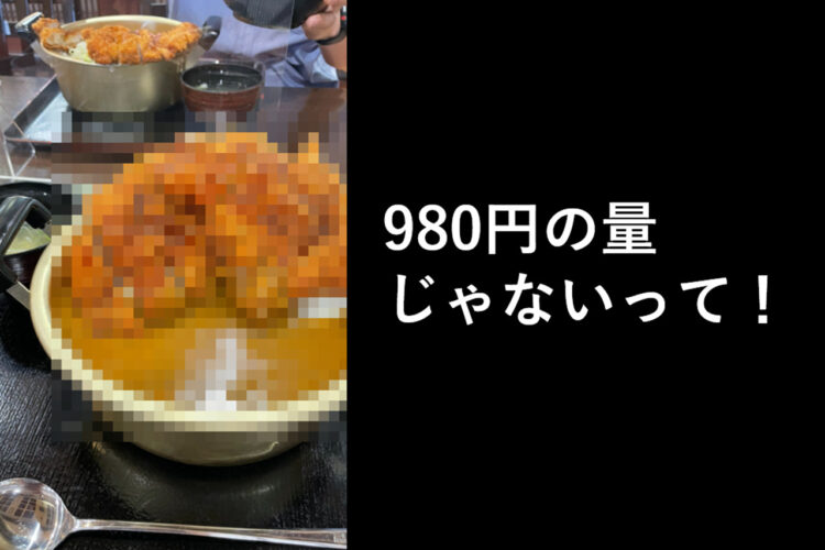 980円の量じゃない！コスパ最強メニューに騙された....