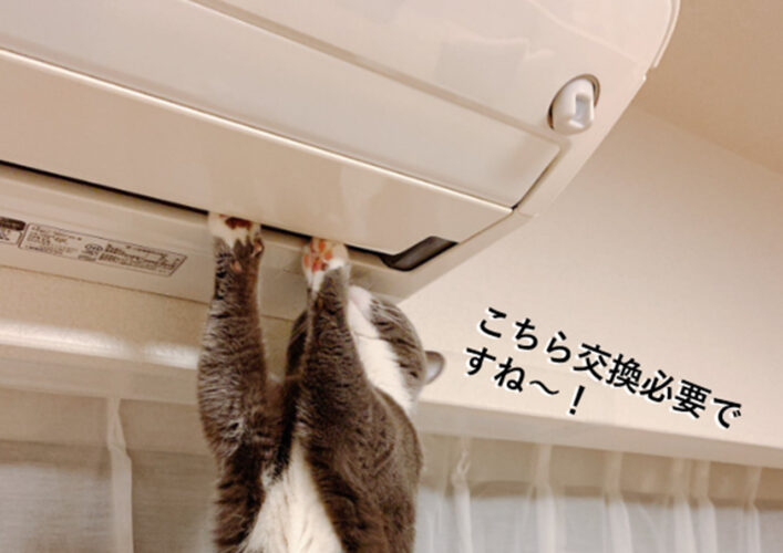 今年のエアコン業者は猫の手も借りたいらしい！Twitterで話題の業者猫が可愛すぎる