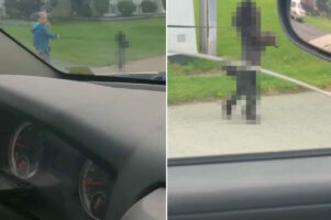 ユニークな方法で散歩を楽しんでいた犬。その姿を目撃した通りすがりのドライバーはビックリ仰天！！【海外・動画】